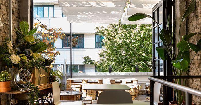 位於合井附近的咖啡廳，擺滿了植物，提供舒適的室內座位，讓顧客能享受放鬆的氣氛。